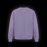 Rainbow Globe Crewneck — Purple 2